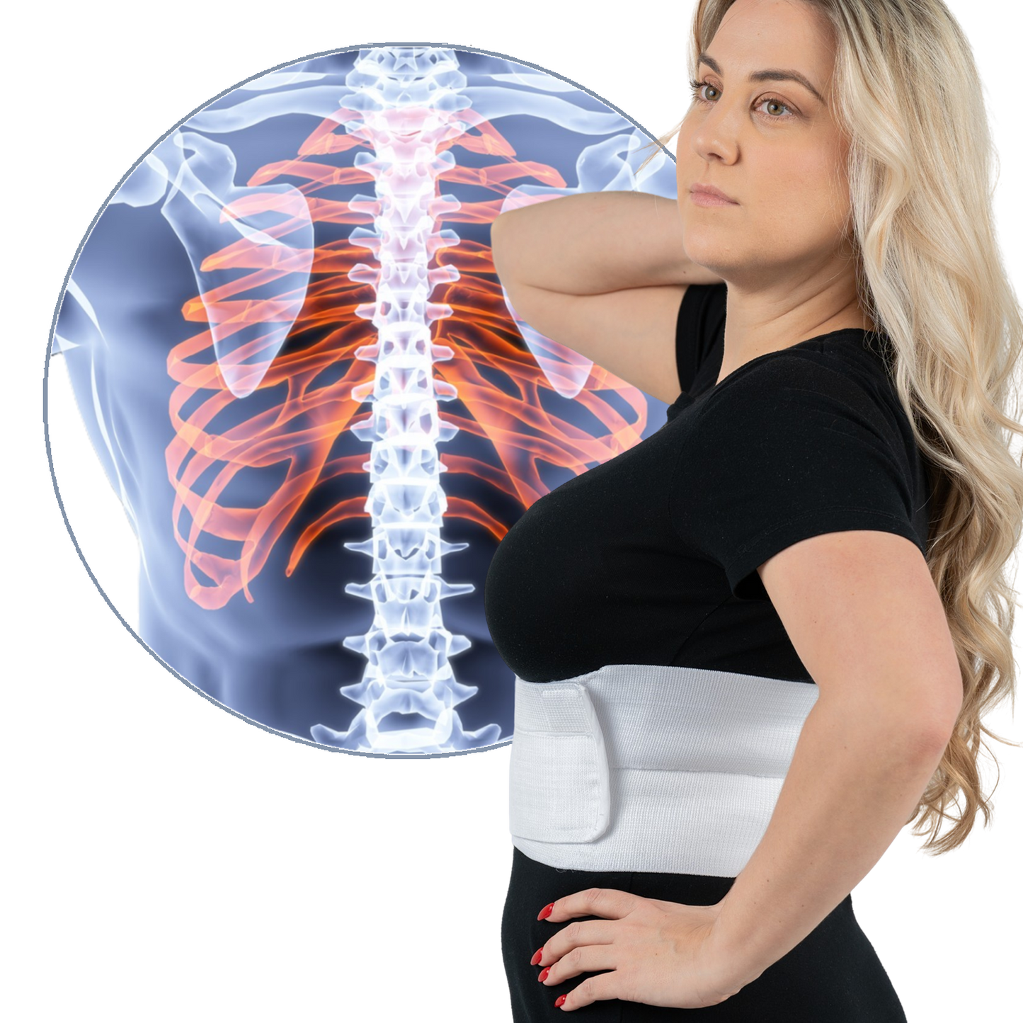 Female Rib Brace (Case of 20)